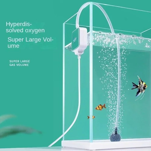Pompa ossigeno acquario