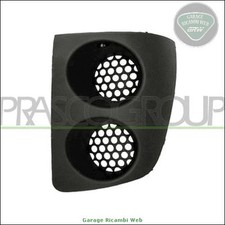 FT1142134 Griglia paraurti