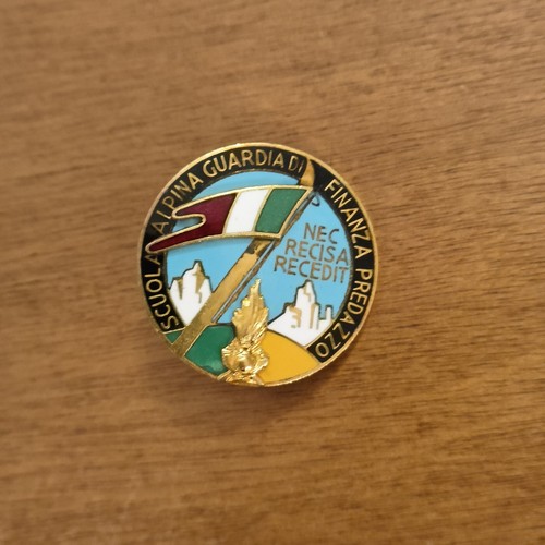 Distintivo scuola alpina - distintivo,