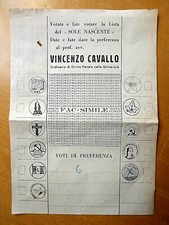  MANIFESTO  ELETTORALE SOLE