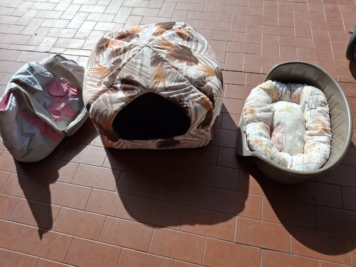 Borsa trasportino cuccia - borsa,