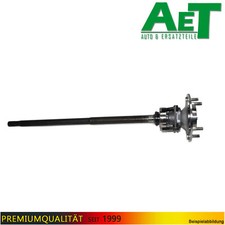 ALBERO DELLA STERZO 77.5 Cm