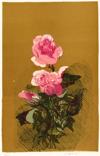 Cazzaniga giancarlo rose - , "rose"
