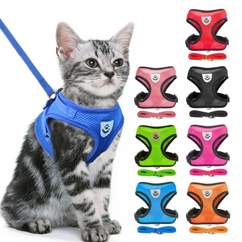 Pettorina per gatti - gatti, guinzaglio