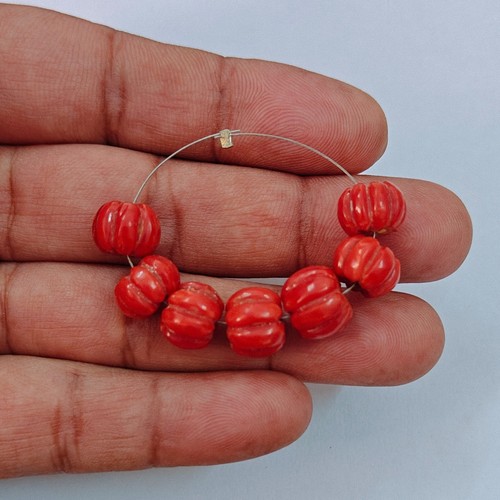 Autentico corallo rosso - , italia