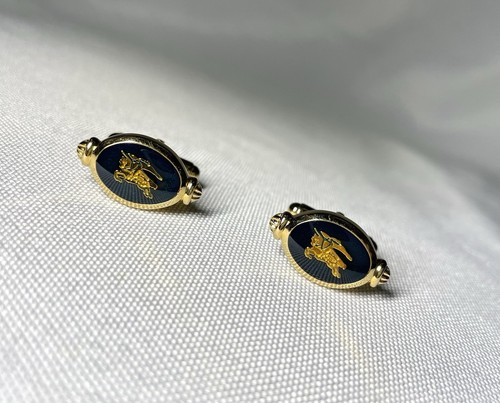 Autentici bellissimi gemelli