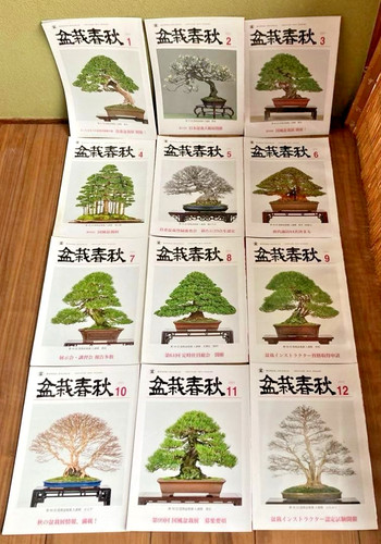 Bonsai shunju 2024 set - shunju,