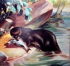 STAMPA 1952 ROBERTO LEMMI