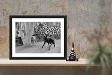 Cornice con Stampa su carta