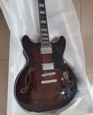 Chitarra Elettrica Palissandro
