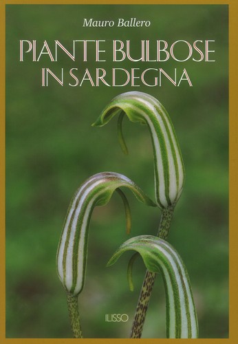 Piante bulbose sardegna - piante,