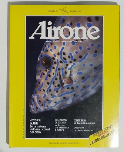 02591 airone viii 86 - 02591, nr