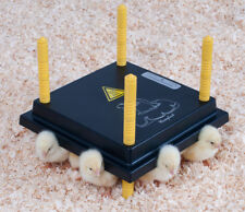 CHIOCCIA ARTIFICIALE PER 15/20 PULCINI DOPO L'INCUBATRICE | BOROTTO