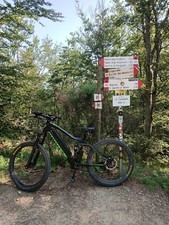 bici elettrica Mtb Biammortizzata 