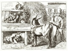 BRIGANTI SORPRESI DA FORZA