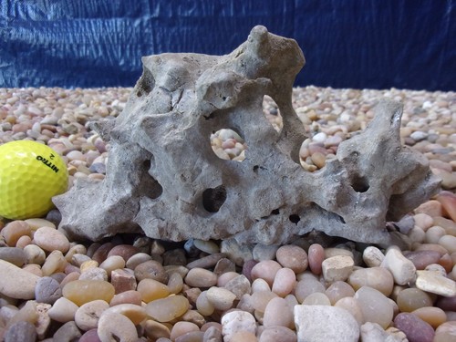 Texas holey rock - holey,