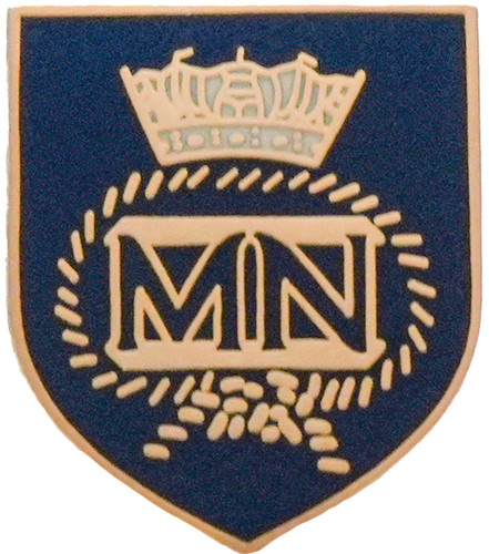 Distintivo spilla stemma