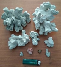 LOTTO GRANDI SCULTURE CORALLO