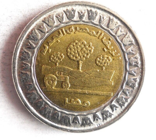 2019 libbra egiziana - egiziana,