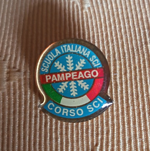 Pin spilla scuola - scuola, sci