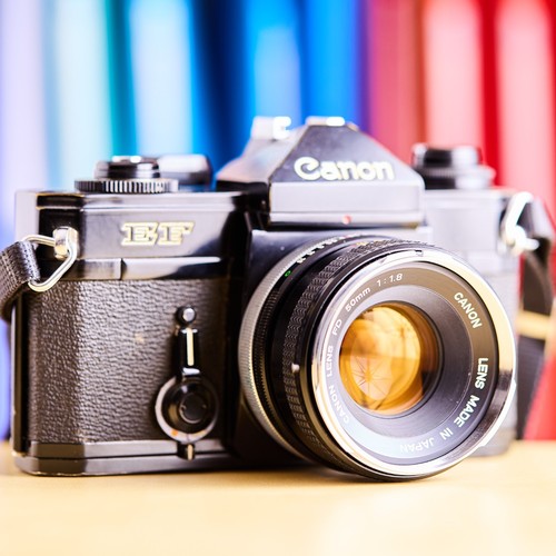 Canon 50mm f 1 - +, f/1.8