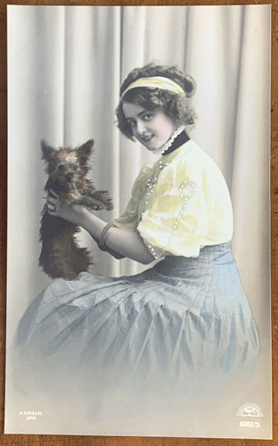 Woman holds yorkshire terrier - holds,
