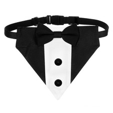 Accessori Cane Cani Costumi