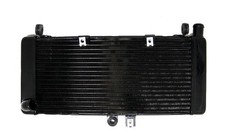 Griglia protezione radiatore