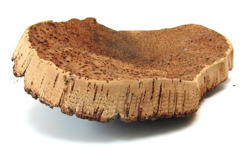 Cork tray from - tray,