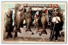 c1905 Office Meteor Boat Co. Cached Some Fish Breakfast Antique Postcard