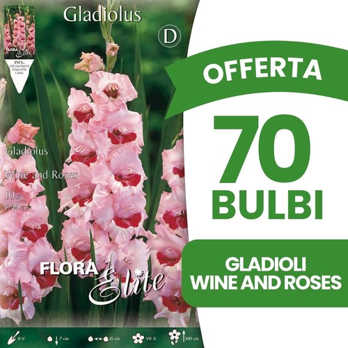Bulbi primaverili offerta - primaverili,