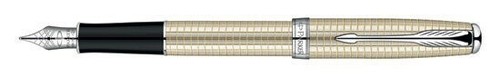 Penna stilografica parker - stilografica,