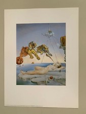 SALVADOR DALI, 'SOGNO CAUSATO