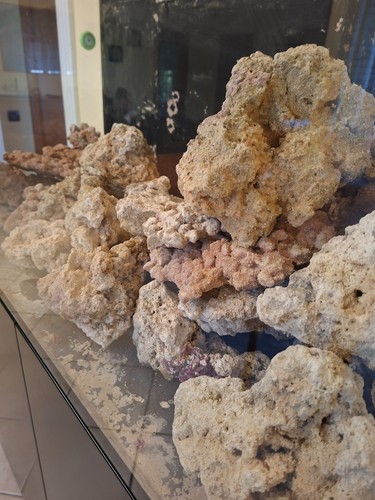 Rocce per acquario - , di