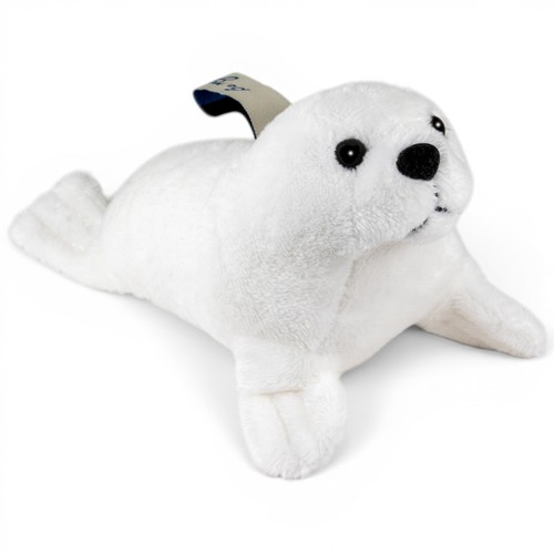 Carl dick foca - dick, foca,