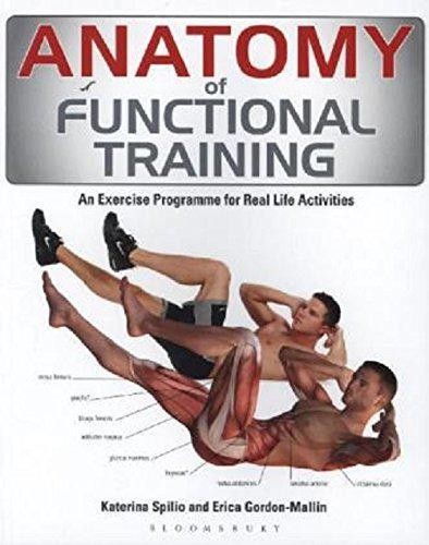 Anatomy functional - anatomy,