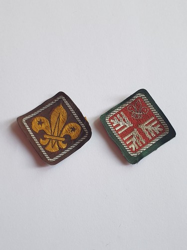 Boy scout - 2,