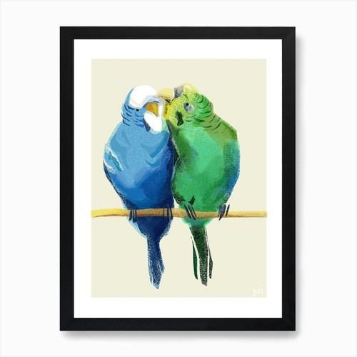 Stampa artistica cocorite con