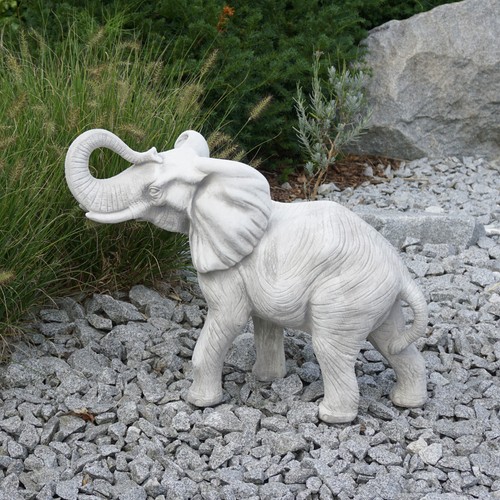 Elefante africano maschio