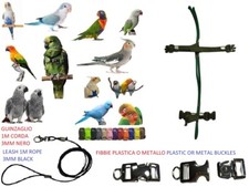 Pettorina pappagalli VERDE E