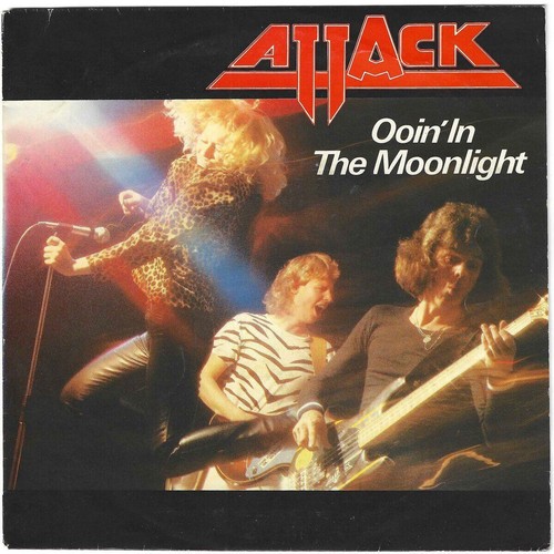 Attack ooin the moonlight - the,
