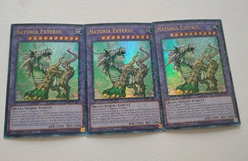 Terminale duello naturia - 1x,