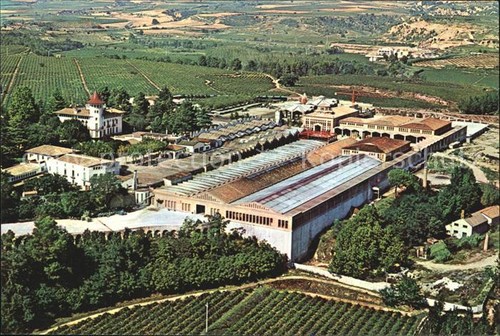 Cavas codorniu ripresa aerea - ripresa,
