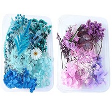 2 Scatola Fiori Secchi