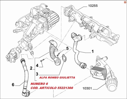 55221366 tubo acqua - 55221366,