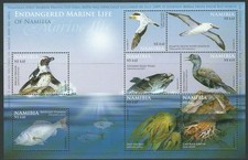 Namibia - Vita di mare blocco
