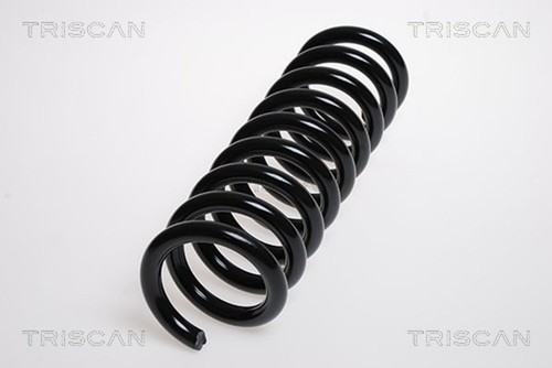 Molla sospensione triscan - 1,