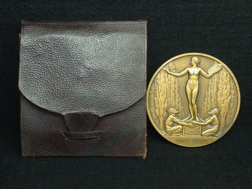 Medaille bronze 81mm bazor - bronze, l.bazor