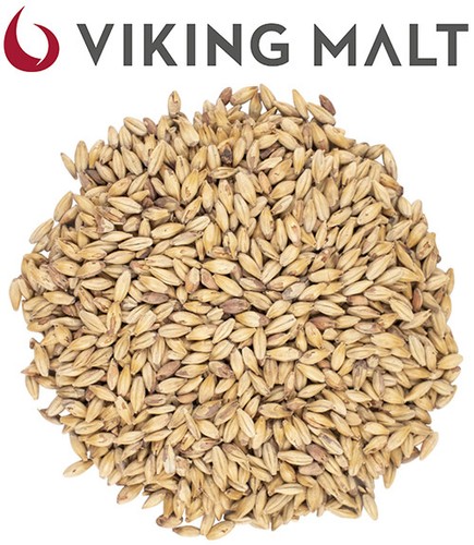 Malto grani viking - in,