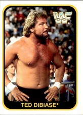 card wwf wrestling merlin 1991